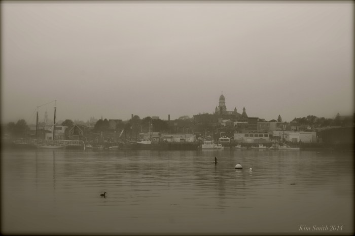 Gloucester City Hall in the Fog ©Kim Smith 2014