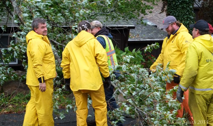 Gloucester DPW ©Kim Smith 2014