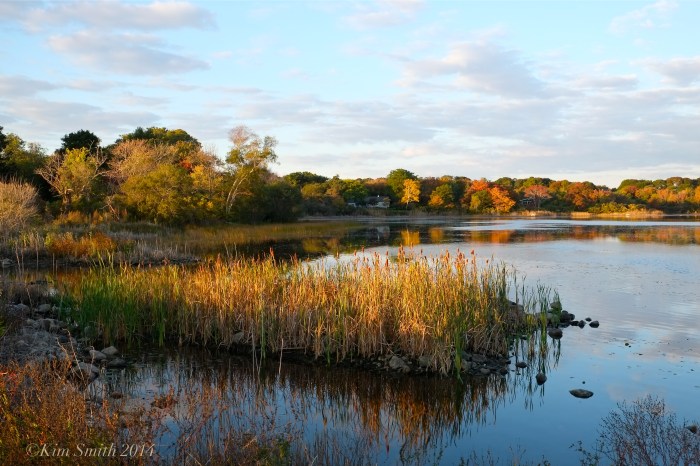 Niles Pond daybreak ©Kim Smith 2014