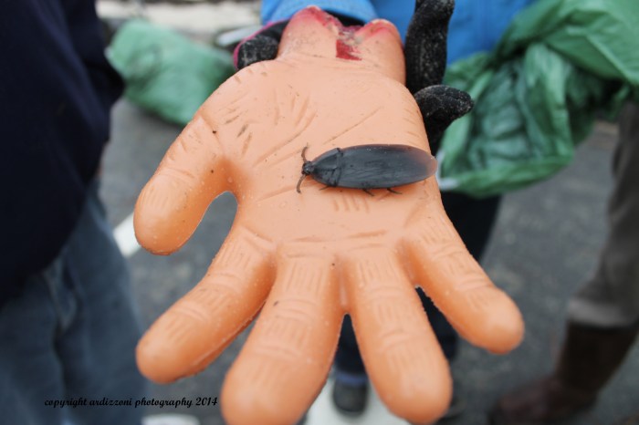 October 11, 2014 fun things