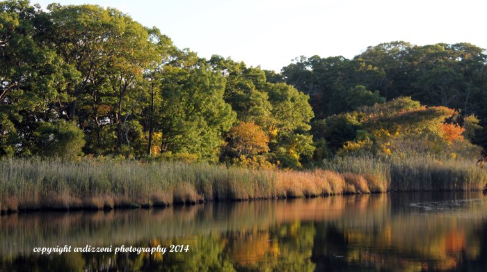 October 2, 2014 start of color at Clark Pond