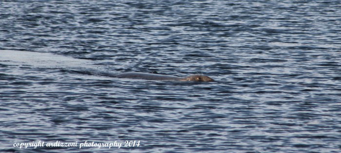 October 25, 2014 our friend