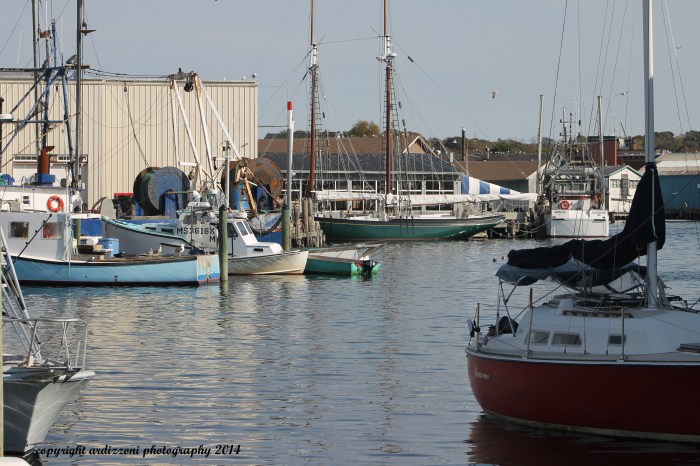 October 28, 2014 from St Peter square