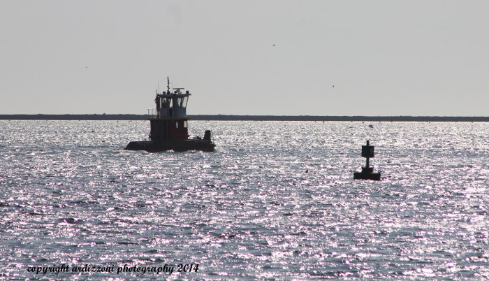 October 28, 2014 things in the harbor