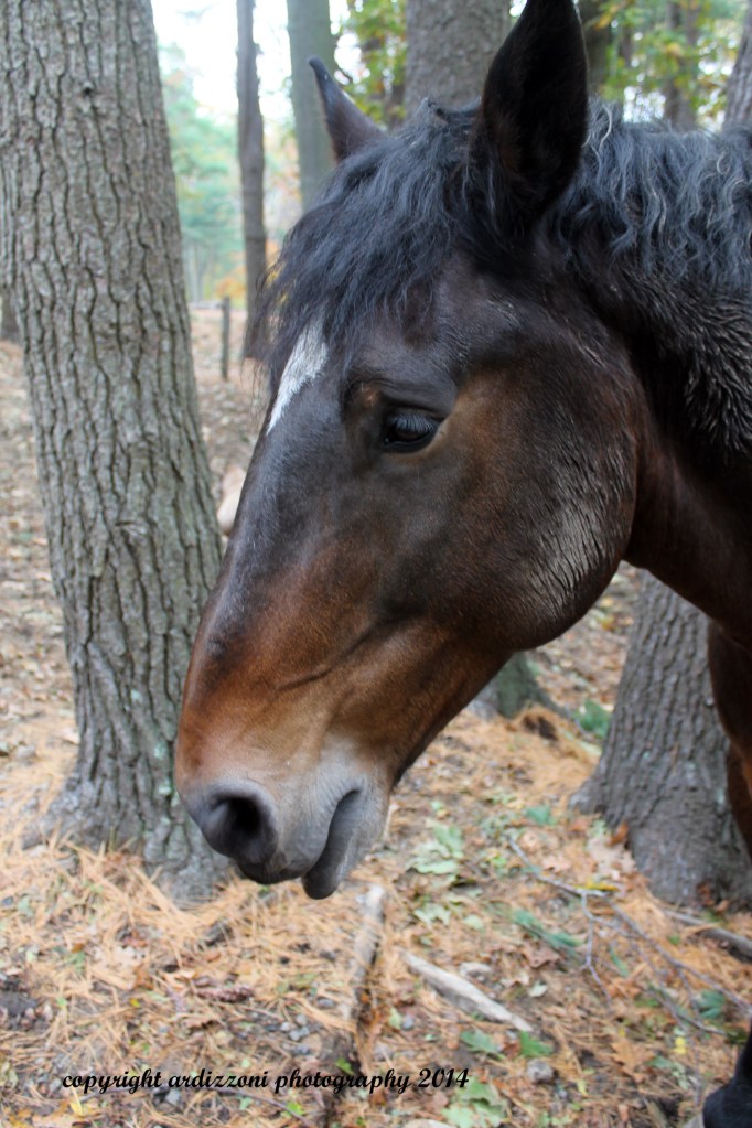 October 29, 2014 beautiful profile