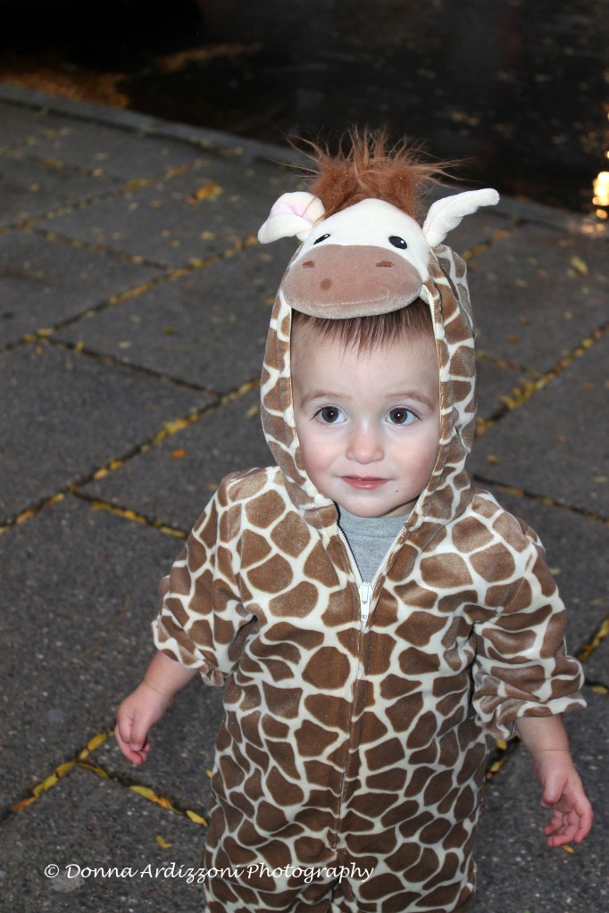 October 31, 2013 The littlest giraffee