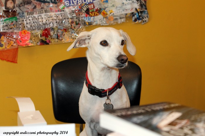 October 9, 2014 Diego at the cash register