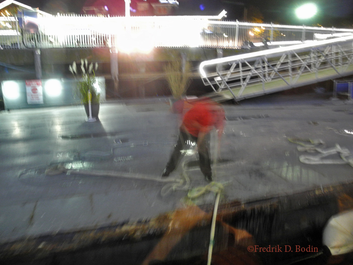 PrincessCruise5075wm