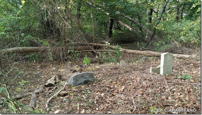 ROBERTS FAMILY PLOT AFTER