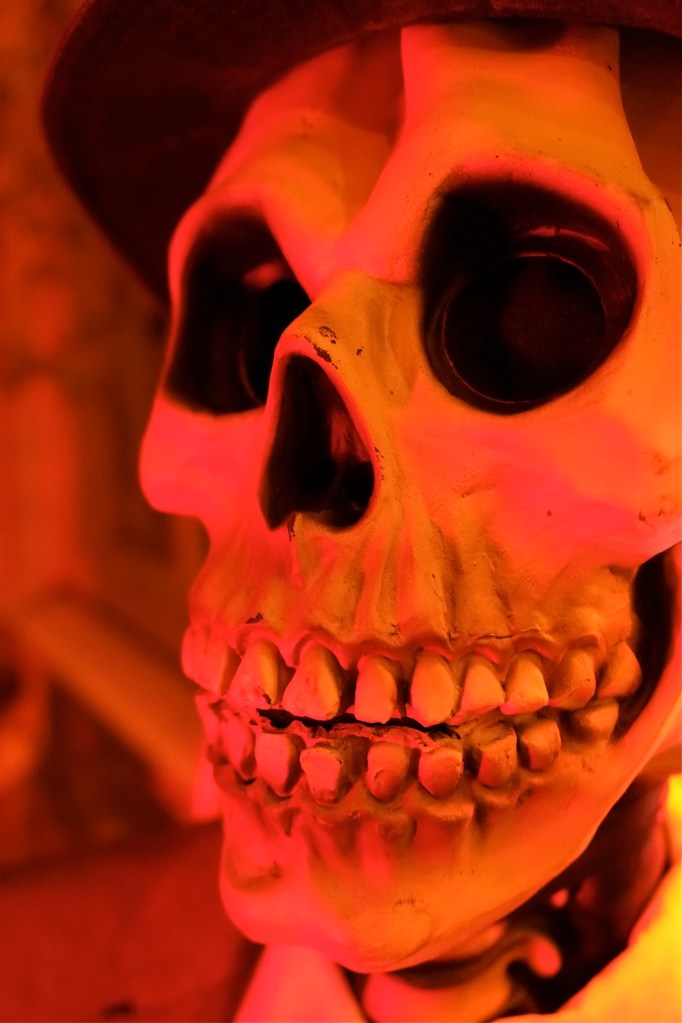 Skull ©Kim Smith 2014