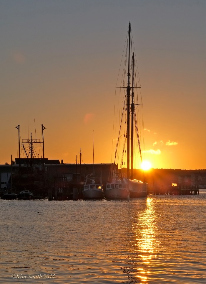 Smiths Cove Gloucester MA -2 © Kim Smith 2014jpg copy