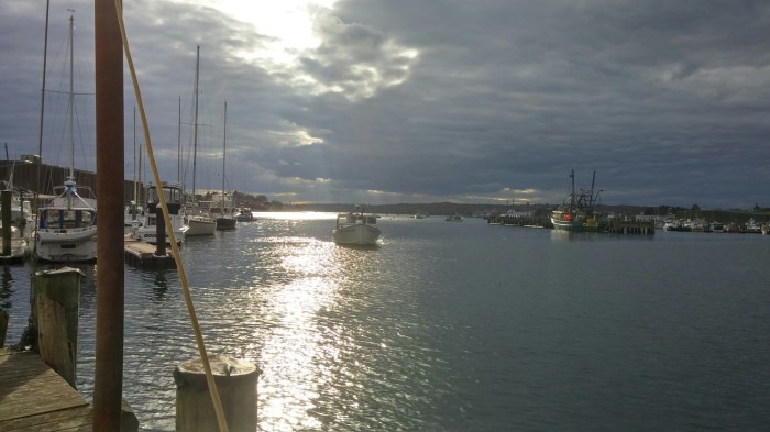 20141030_153234_HDR.jpg image