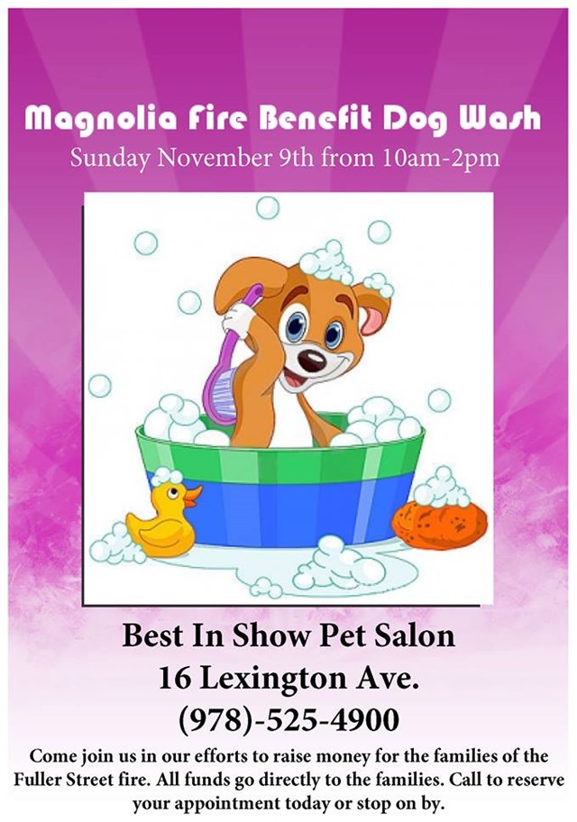 10799589_10152379532845952_1695307767_n