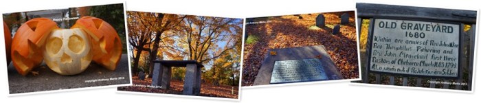 View album View album