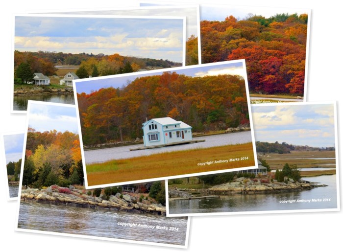 View album View album