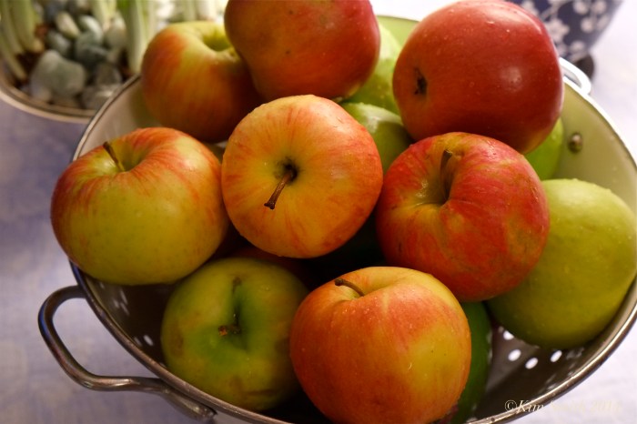 Apple Pie Making ©Kim Smith 2014