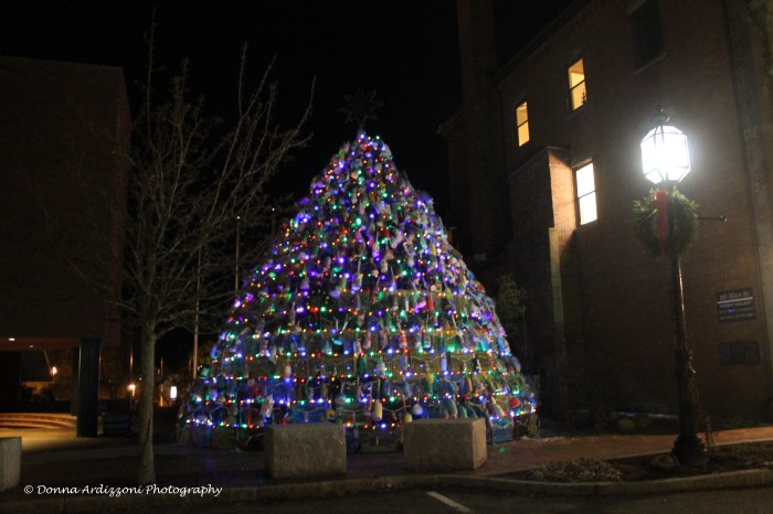 December 24, 2013 Gloucester's Lobster Trap Tree