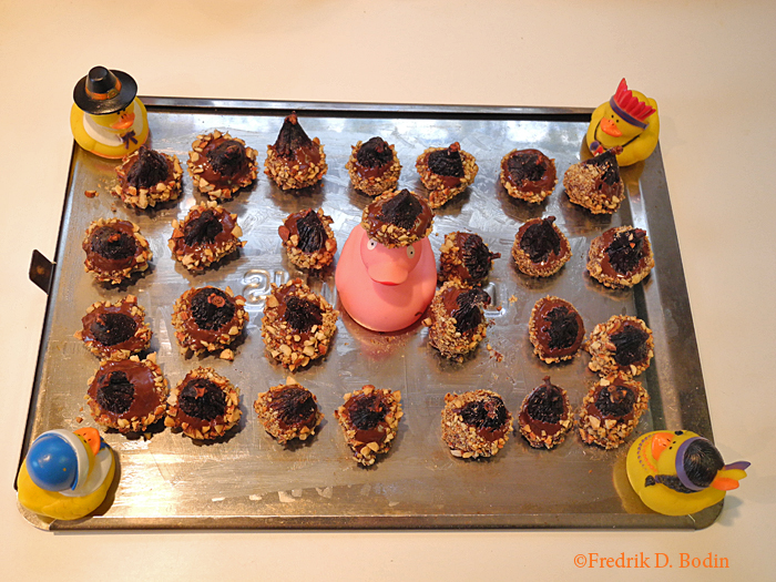 DucksChocolate5255wm