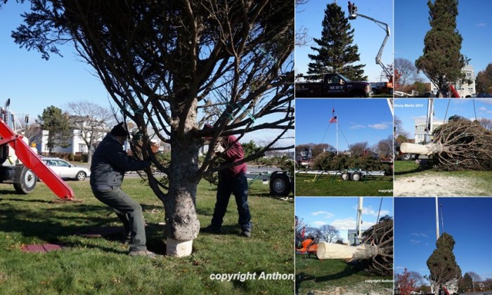 View album View album