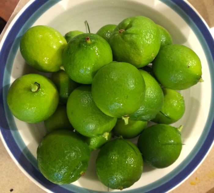 limes2