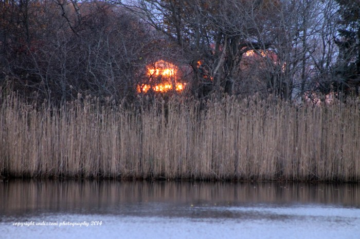 November 11, 2014 looks like a fire