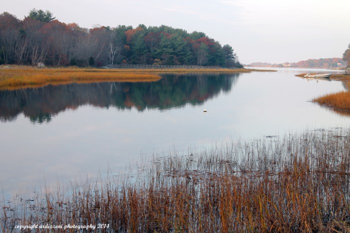 November 12, 2014 Little River in the fall
