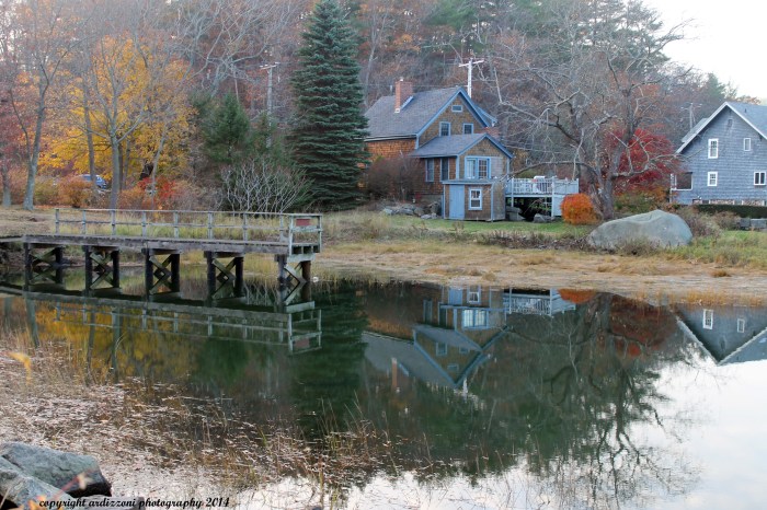 November 12, 2014 reflecting at Little River at high Tide