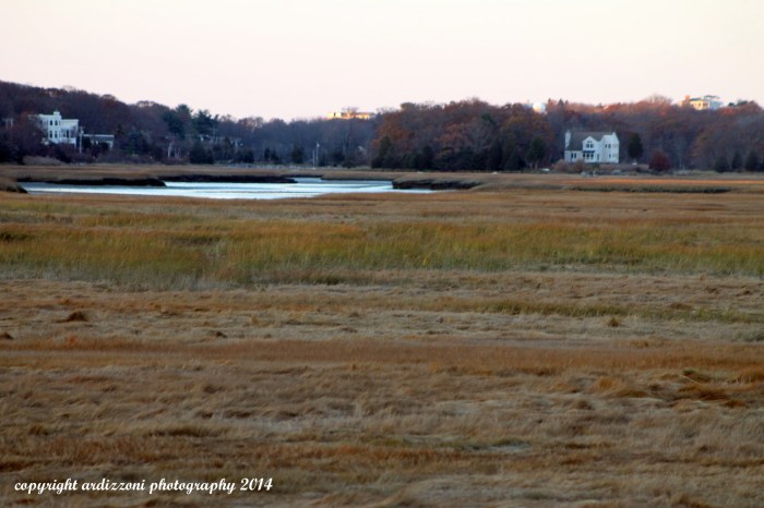 November 20, 2014 from Lobsta Land