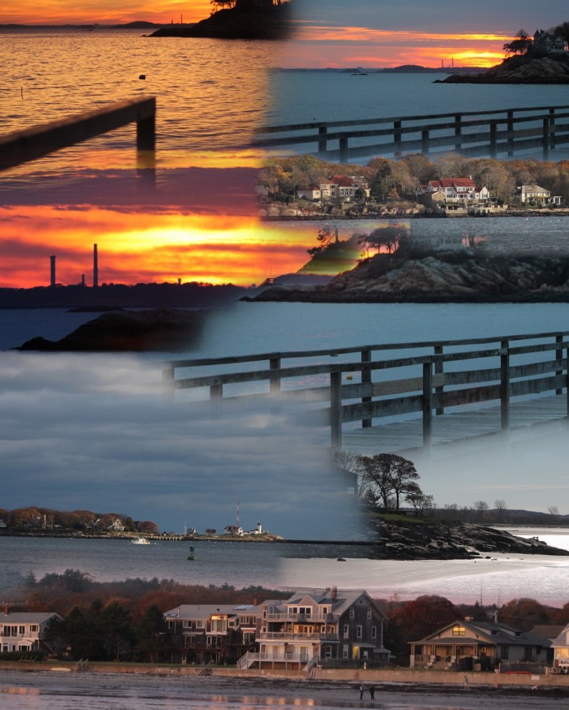 November 4, 2014 002 Collage 2