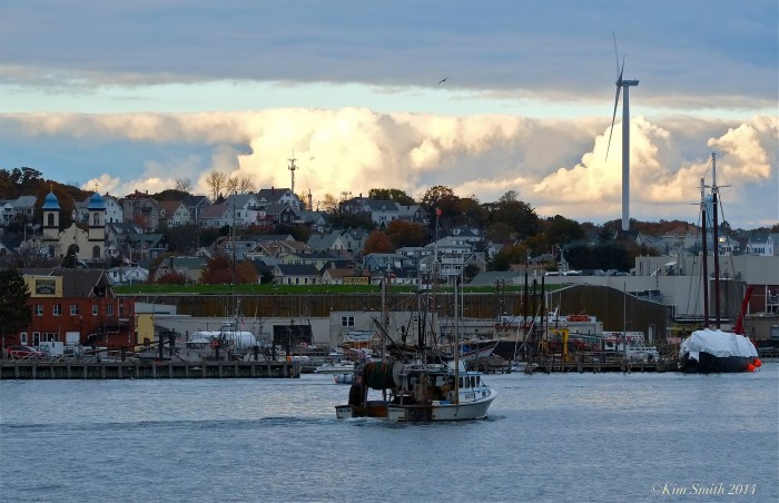 Tina and Tom ©Kim Smith 2014