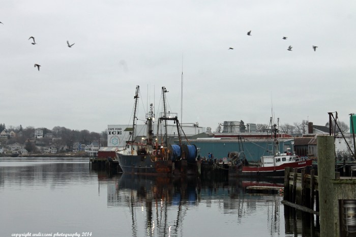 December 16, 2014 I think it is going to rain