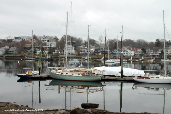 December 16, 2014 reflections at low tide on Rocky Neck