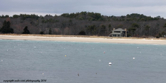 December 5, 2014 lonely moorings