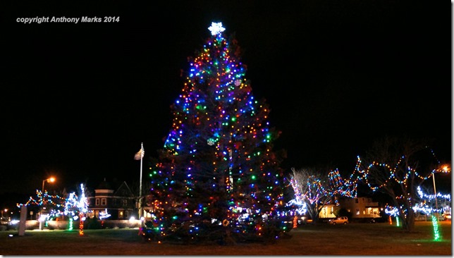 Kent Circle Christmas Tree
