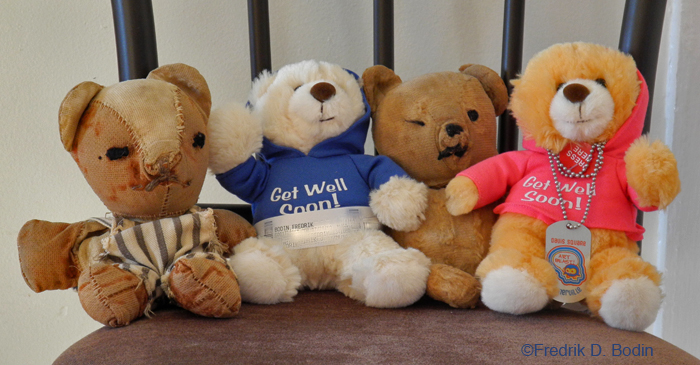 DSCNTeddyBEars5275wm