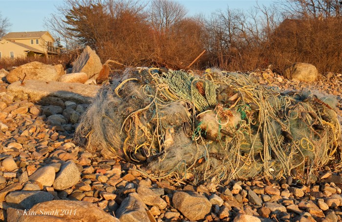 Flotsom Marine Debris Brace Cove Gloucester MA Beach ©Kim Smith 2014