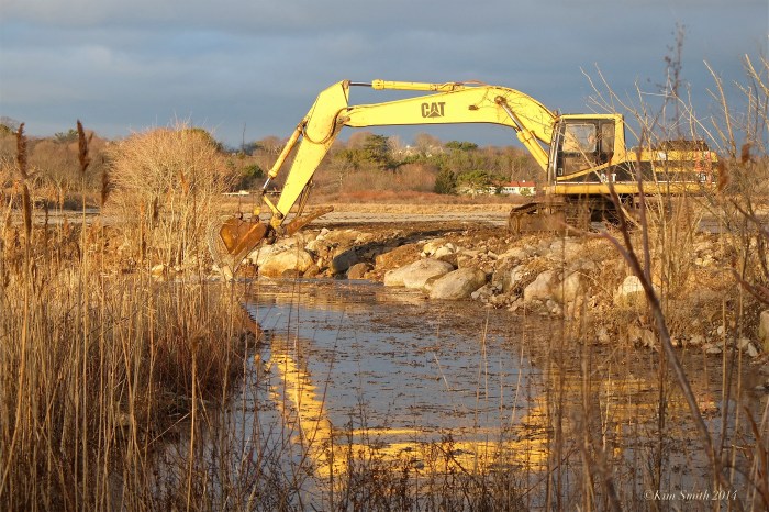 Niles Pond Brace Cove casueway restoration excavator -2 ©Kim Smith 2014.