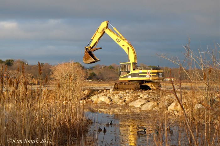 Niles Pond Brace Cove casueway restoration excavator ©Kim Smith 2014.