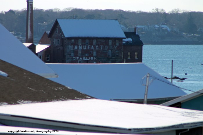 November 29, 2014 from the lobsta trap tree