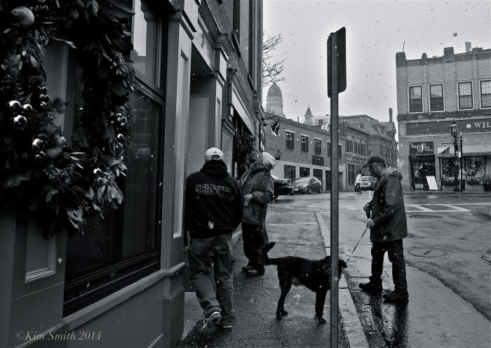 Pinoli Gloucester ©Kim Smith 2014