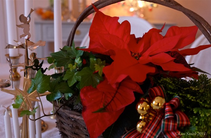 Sage Floral Gloucester florist Christmas Arrangement ©Kim Smith 2014