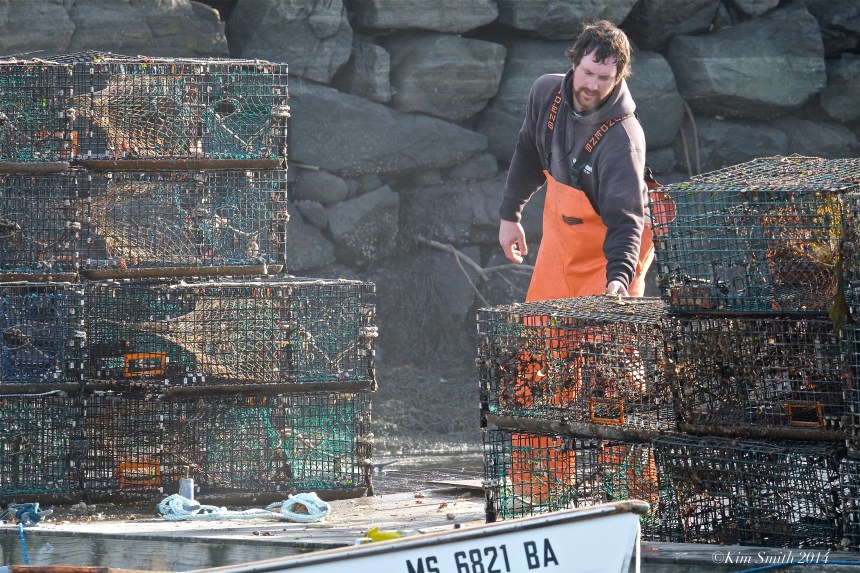 Shawn Pizzo Gloucester Lobsterman Hot Ticket Boat  -3 ©Kim Smith 2014