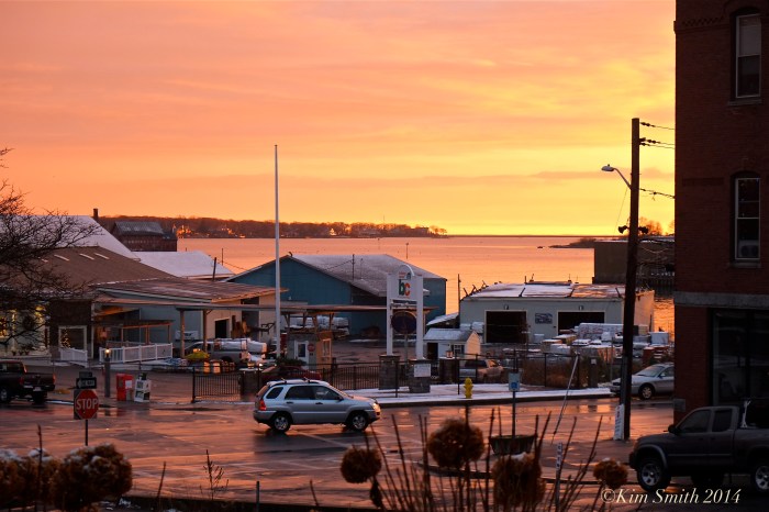 View From Lobster trap Tree ©Kim Smith 2014