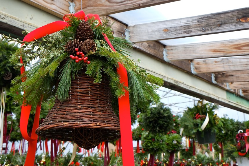 Wolf Hill Christmas  ©Kim Smith 2014