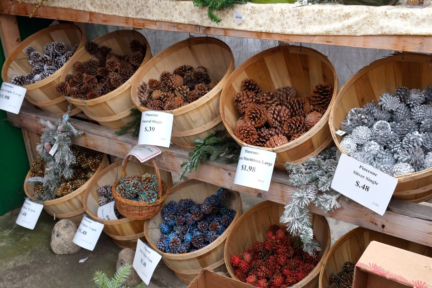 Wolf Hill Christmas pine cones ©Kim Smith 2014