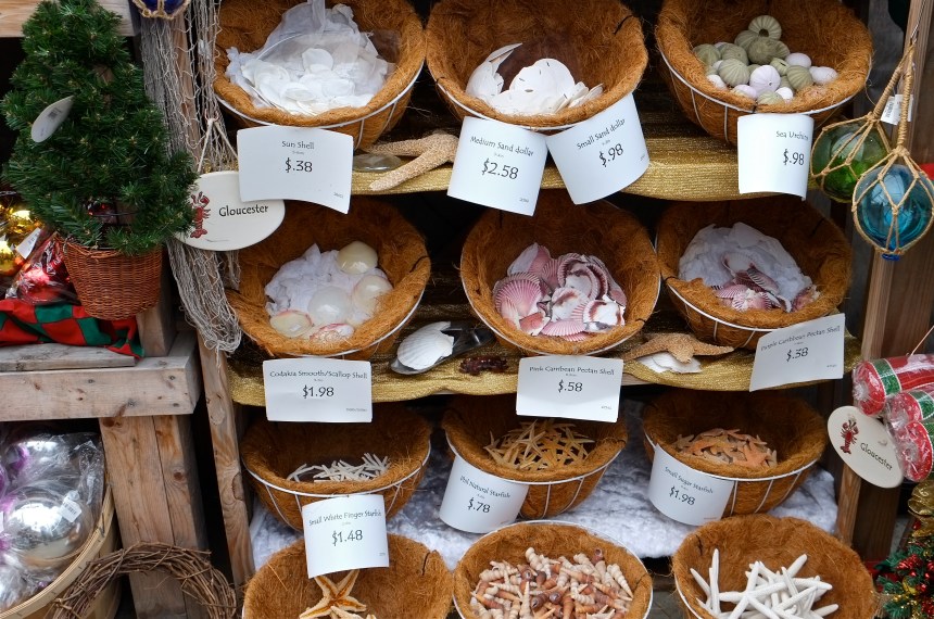 Wolf Hill Christmas shells ©Kim Smith 2014JPG