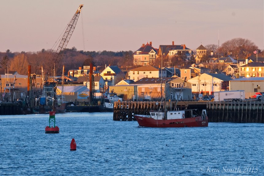 Artemis Fishing Boat Gloucester MA ©Kim Smith 2015