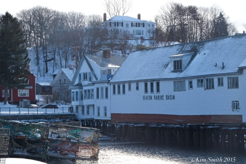 Beacon Marine Basin East Gloucester blizzard 2015 ©Kim Smith 2015