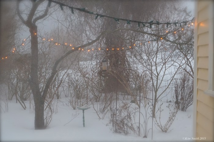 Blizzard 2015 Gloucester ©Kim Smith 2015