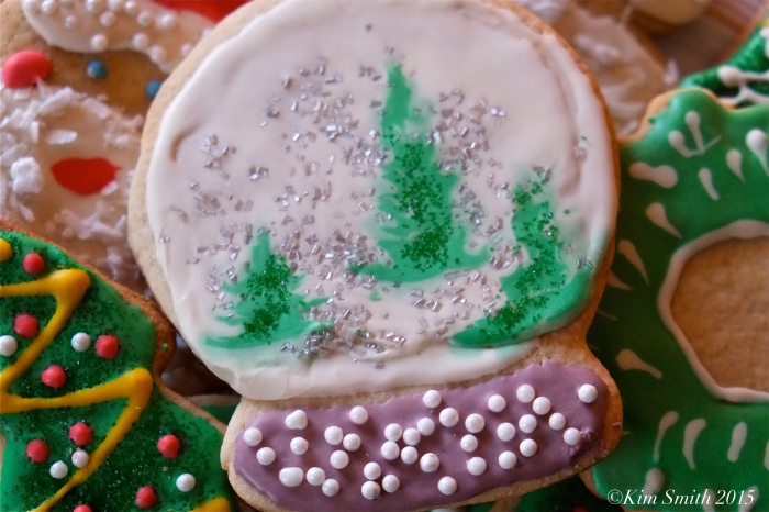 Briar's Christmas Cookies Snow Globe ©Kim Smith 2015JPG